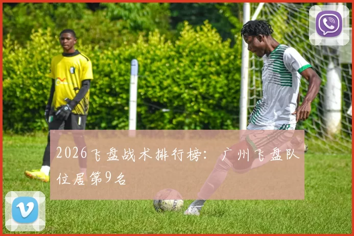 2026飞盘战术排行榜：广州飞盘队位居第9名