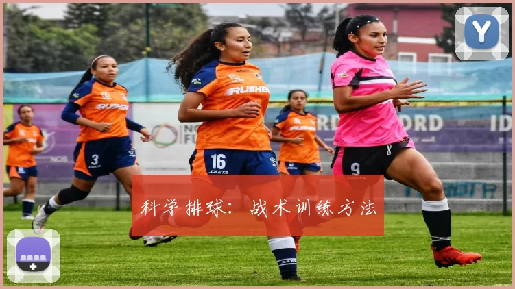 科学排球：战术训练方法