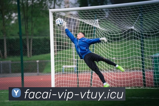 星空体育品牌故事