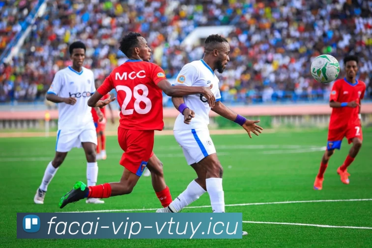 星空体育APP 体育赛事宣传图